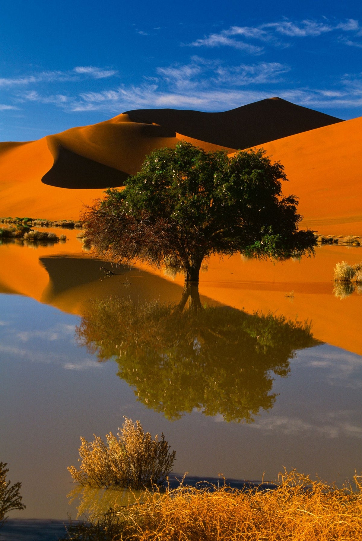 Deserts