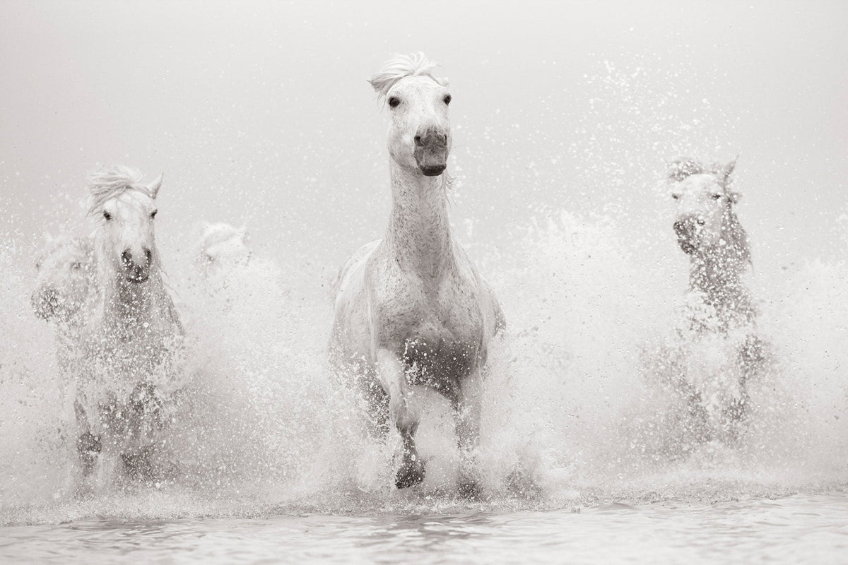Untamed Spirits