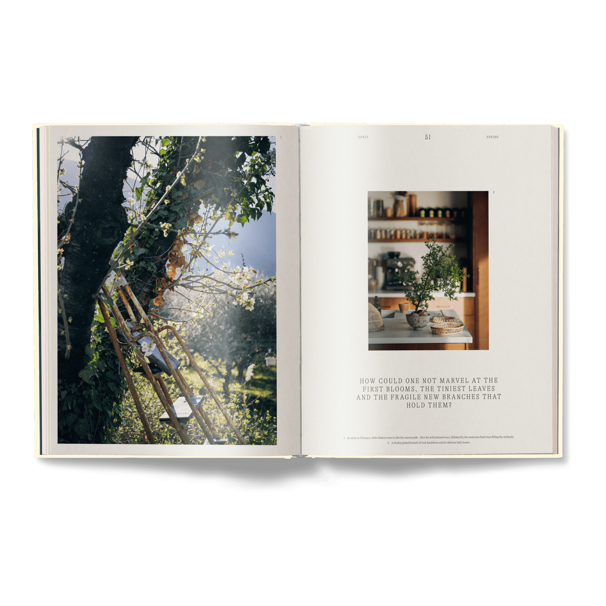 A Spoonful of Sun (New Edition)