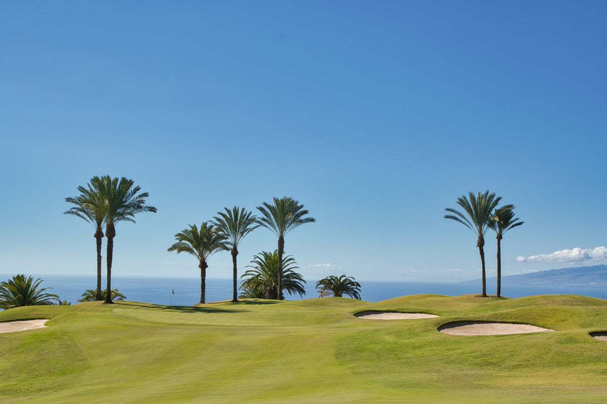 Golf course with palm trees and a clear blue sky