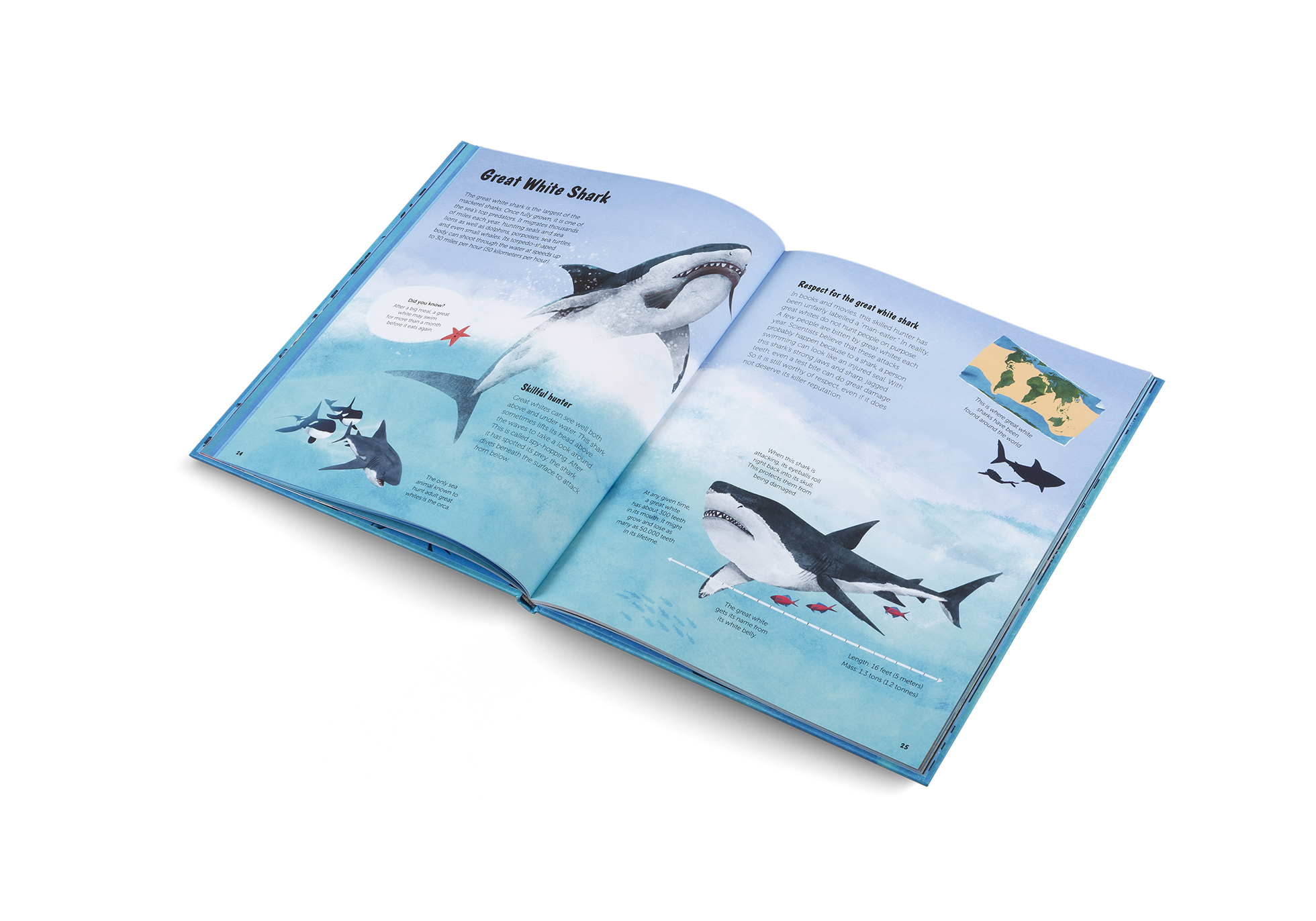 The World of Sharks