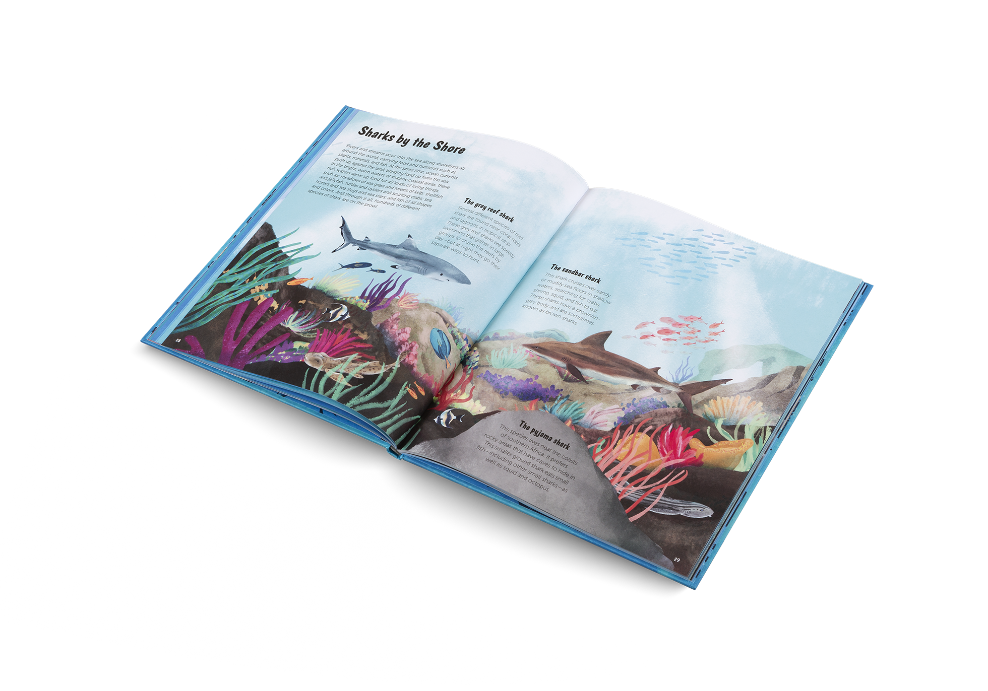 The World of Sharks