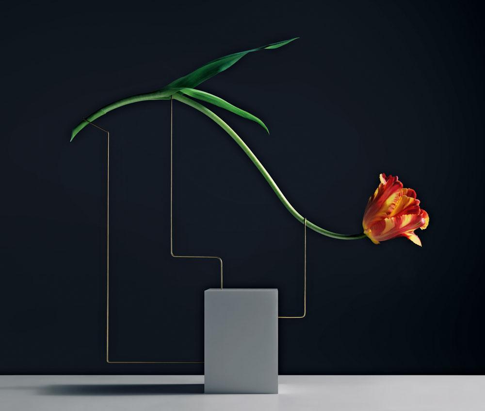 The Still Life gestalten book photography