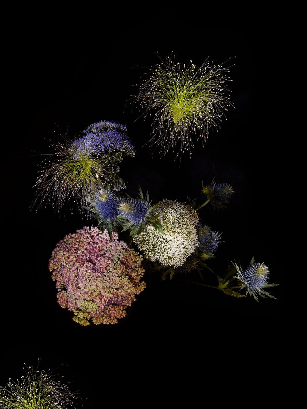 The Still Life gestalten book photography