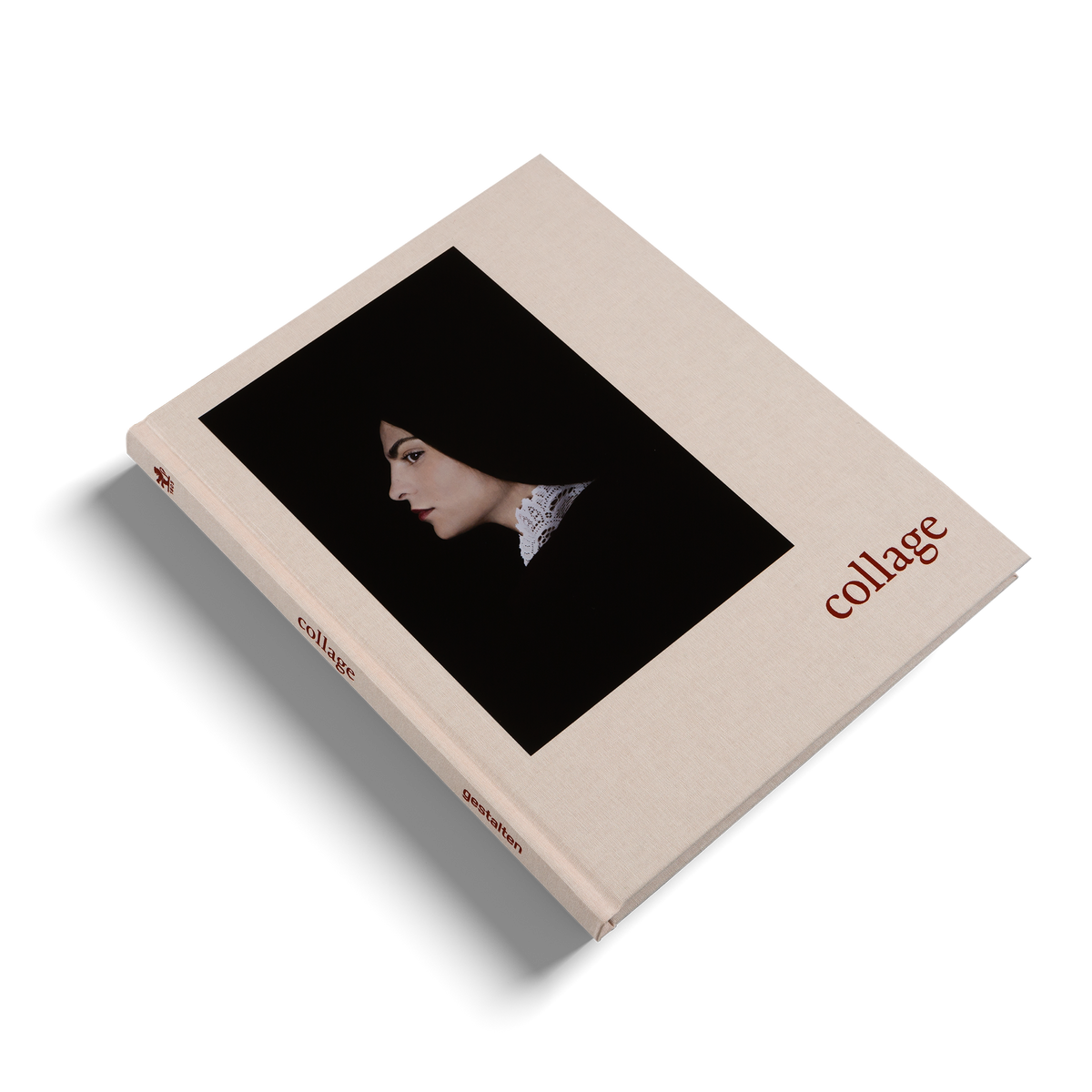 Meet the women of the Prix Pictet since 2008 in Collage published by gestalten.