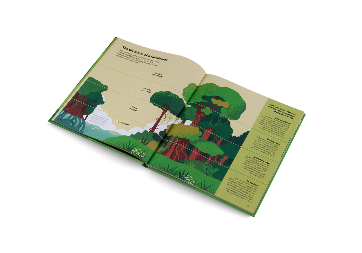 Understand the structure of a rainforest in Explore the Rainforest by Little Gestalten