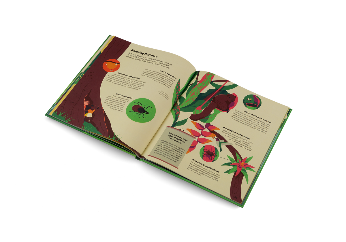 Discover the amazing partnerships of the rainforest in Explore the Rainforest by Little Gestalten