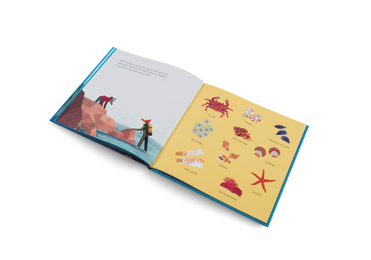 Fox and Wolf are studying the shellfish and and molluscs that live on the seashore before their deep sea quest