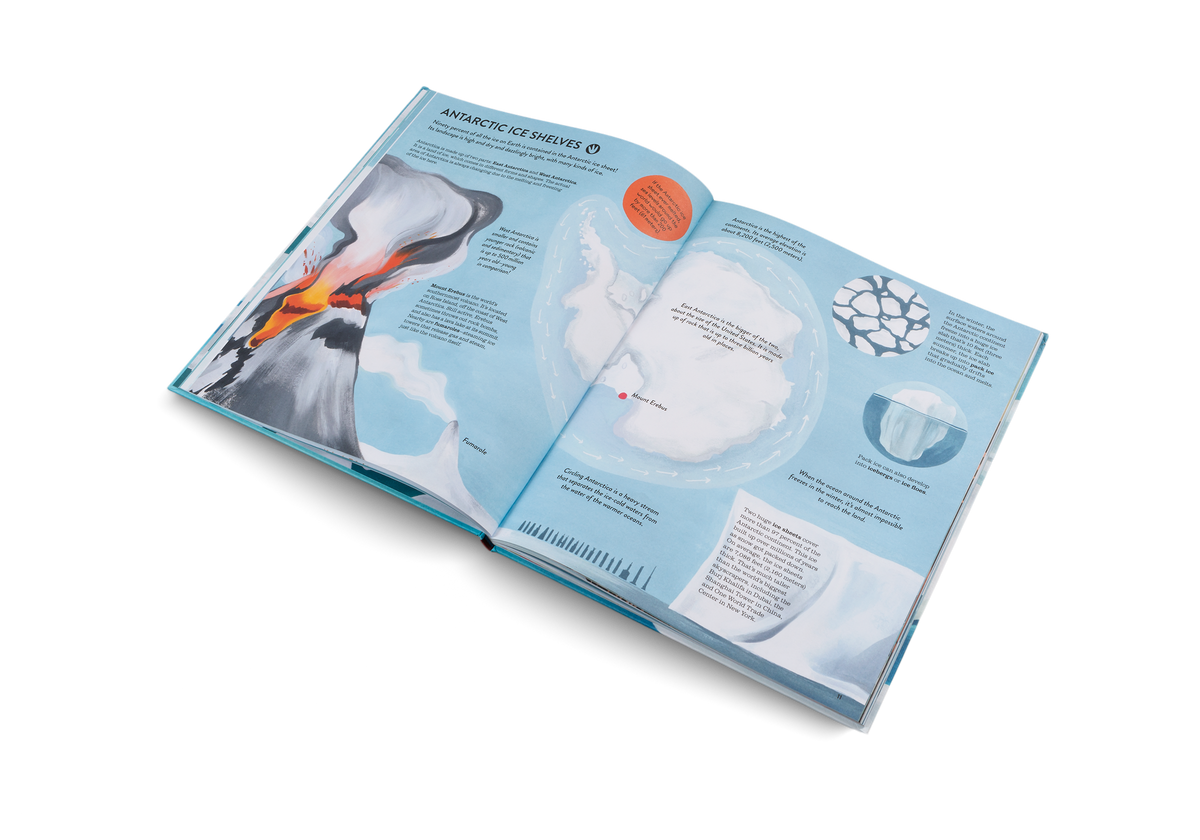 Discover the Antarctic ice shelves in Penguins and Polar Bears by Little Gestalten