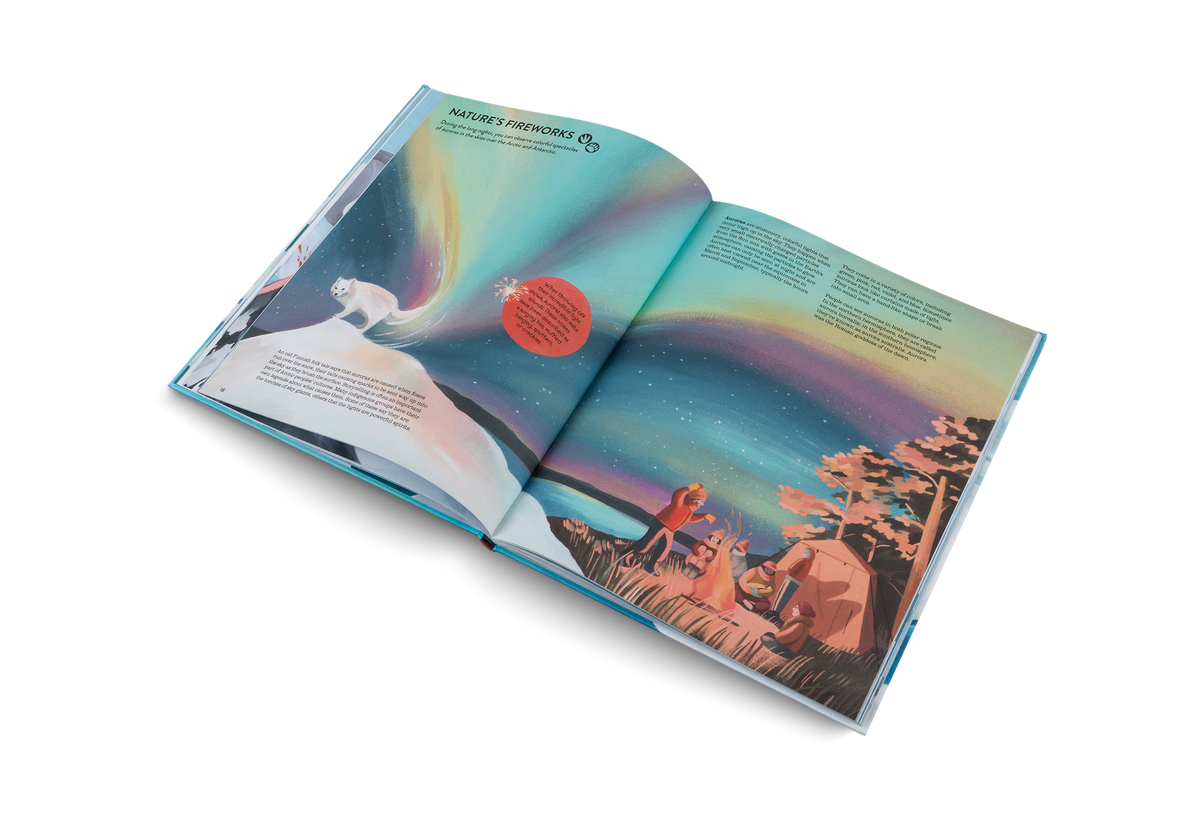 During the long nights, you can observe colorful spectacles of auroras in the skies over the Arctic and Antarctic. Find out more in Penguins and Polar Bears by Little Gestalten