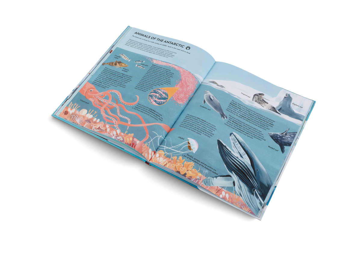 Animals of the Antarctic in Penguins and Polar Bears by Little Gestalten