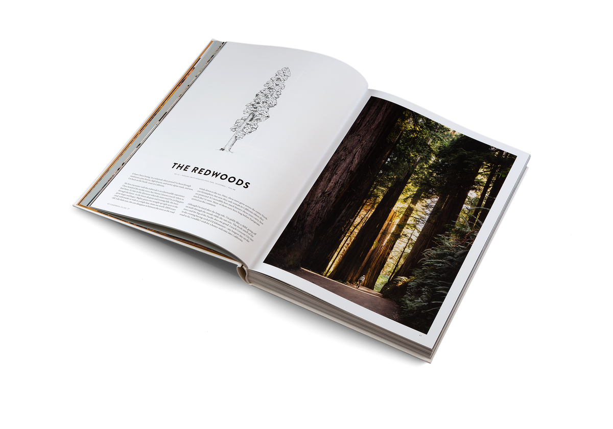 Discover The Redwoods in Two Years on a Bike by gestalten and Martijn Doolaard