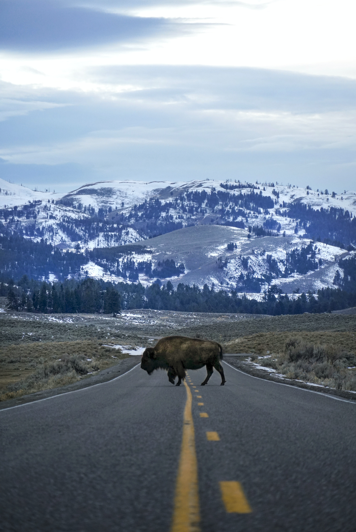 Travel Back in Time with a Thrilling Adventure on the Historic Oregon Trail from Buffalo to Oregon City. The Great American Road Trip shows the best road-trips in the USA.