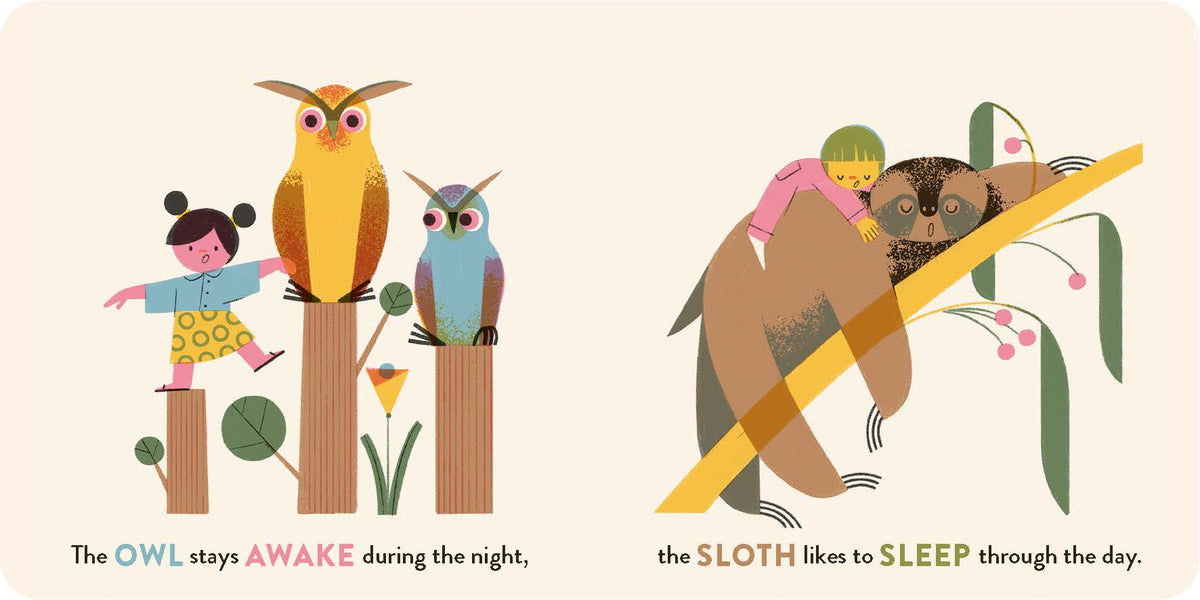 The owl stays awake during the night in The Animal Show by Little Gestalten
