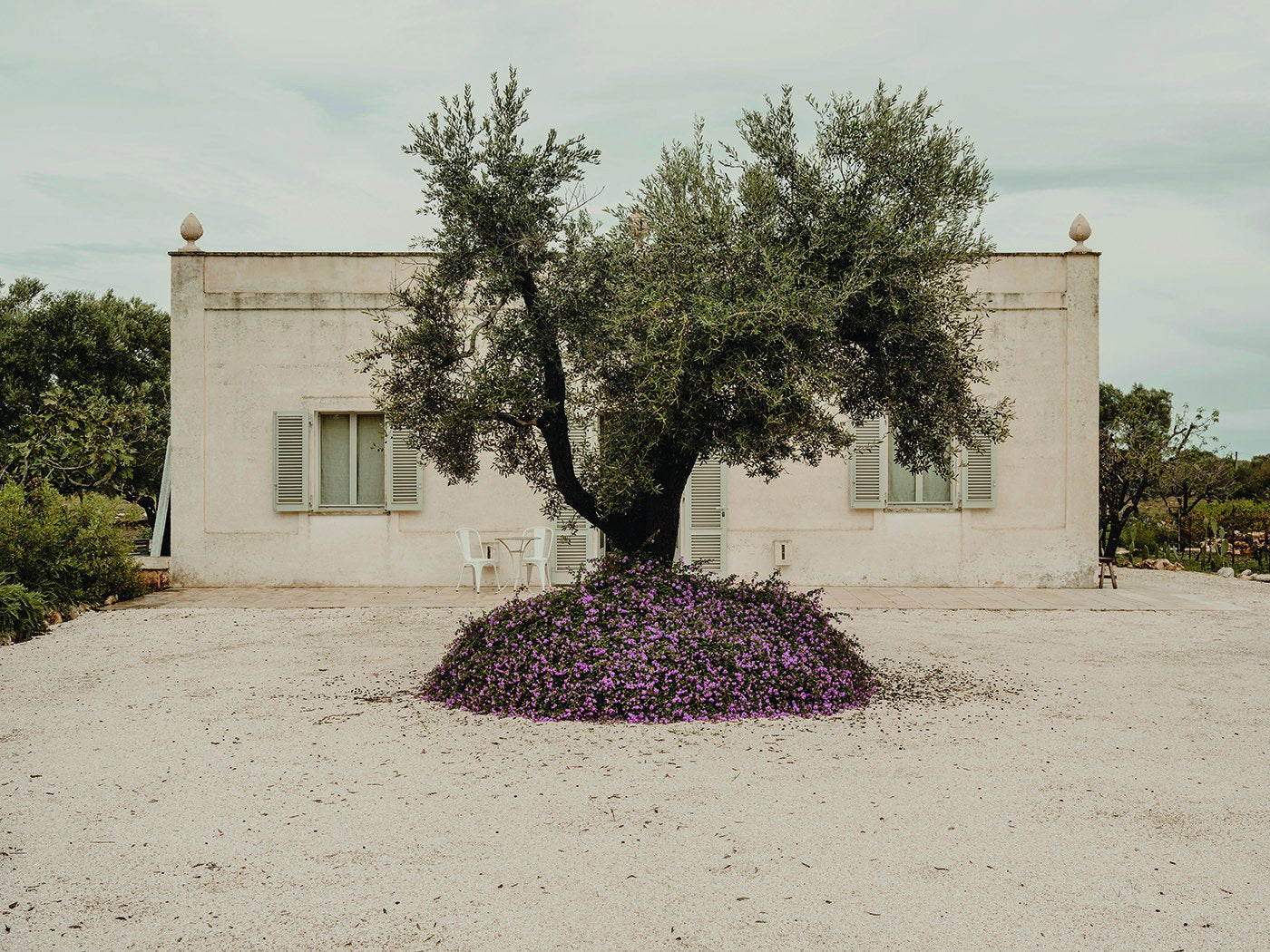 The art of Mediterranean Modernism through Andrew Trotter
