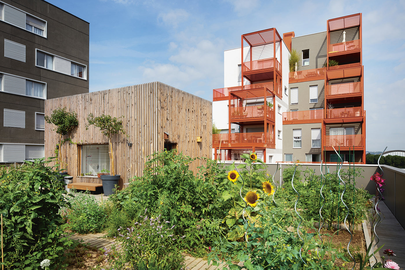 Planting Seeds, Growing A Community