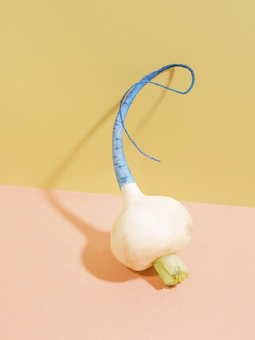 Still-Lifes by Amanda Ringstad