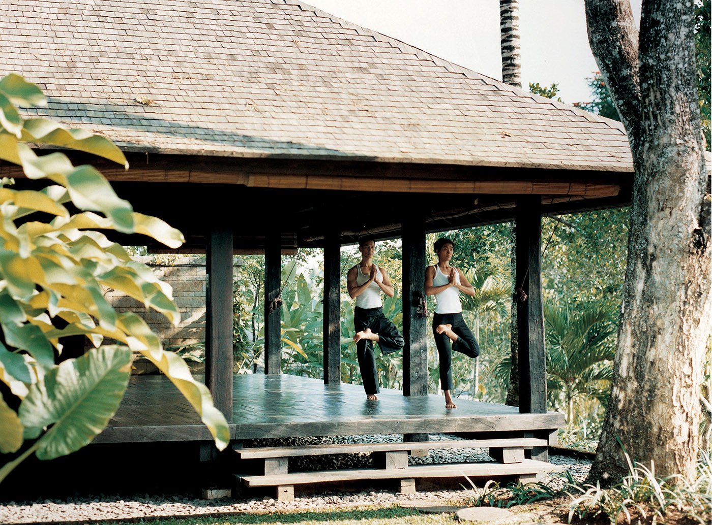 Asia's Ancient Healing Systems