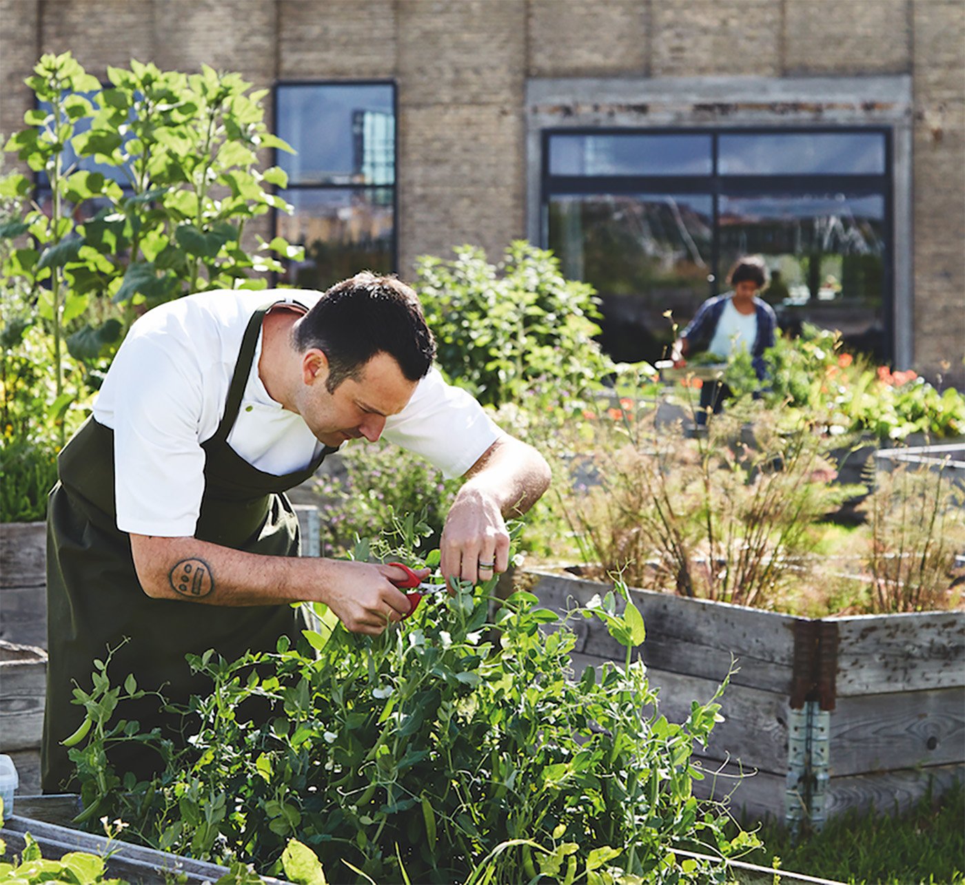 Cutting A Culinary Cardon Footprint With Matt Orlando