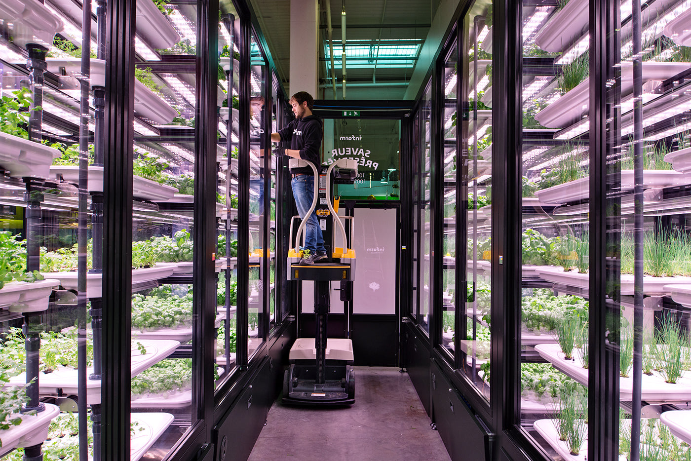 A Vertical Farm in Berlin Keeps Raising The Bar of Food Production