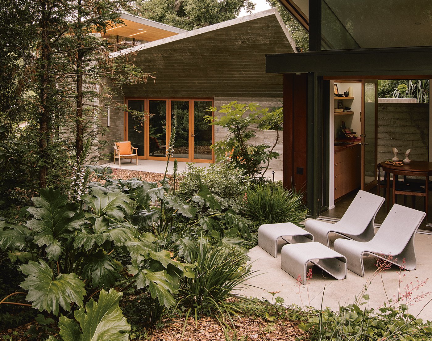A Mid-Century Garden Finds Its Wild Roots