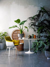 Bringing Nature Indoors Is a Design Trend that Won’t Die