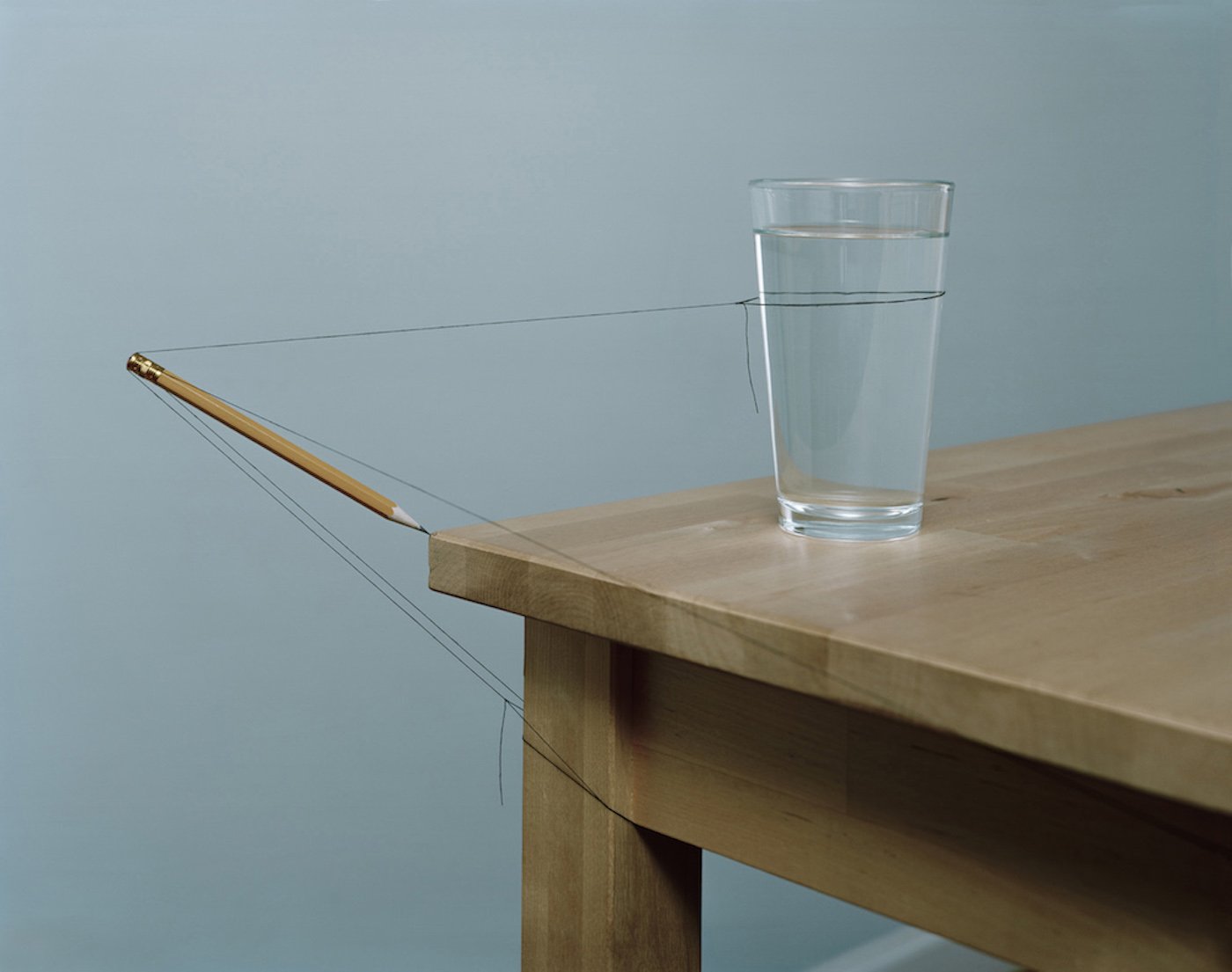 Bird in Flight by Mauricio Alejo