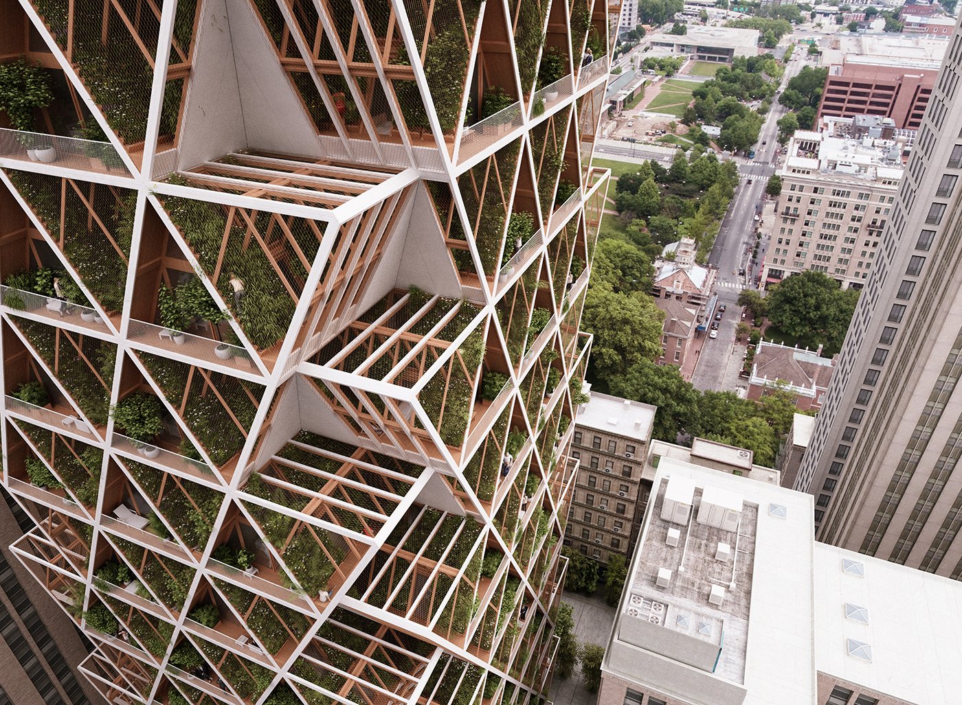 The Second Life of Trees