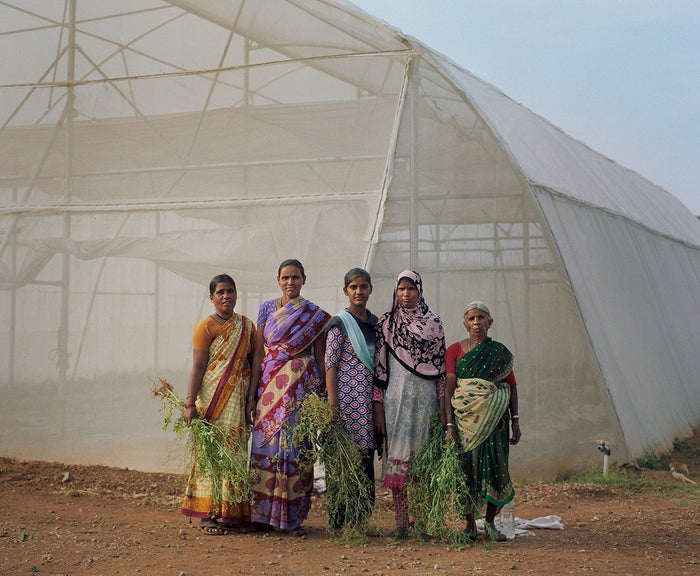 India’s Greenhouse Revolution