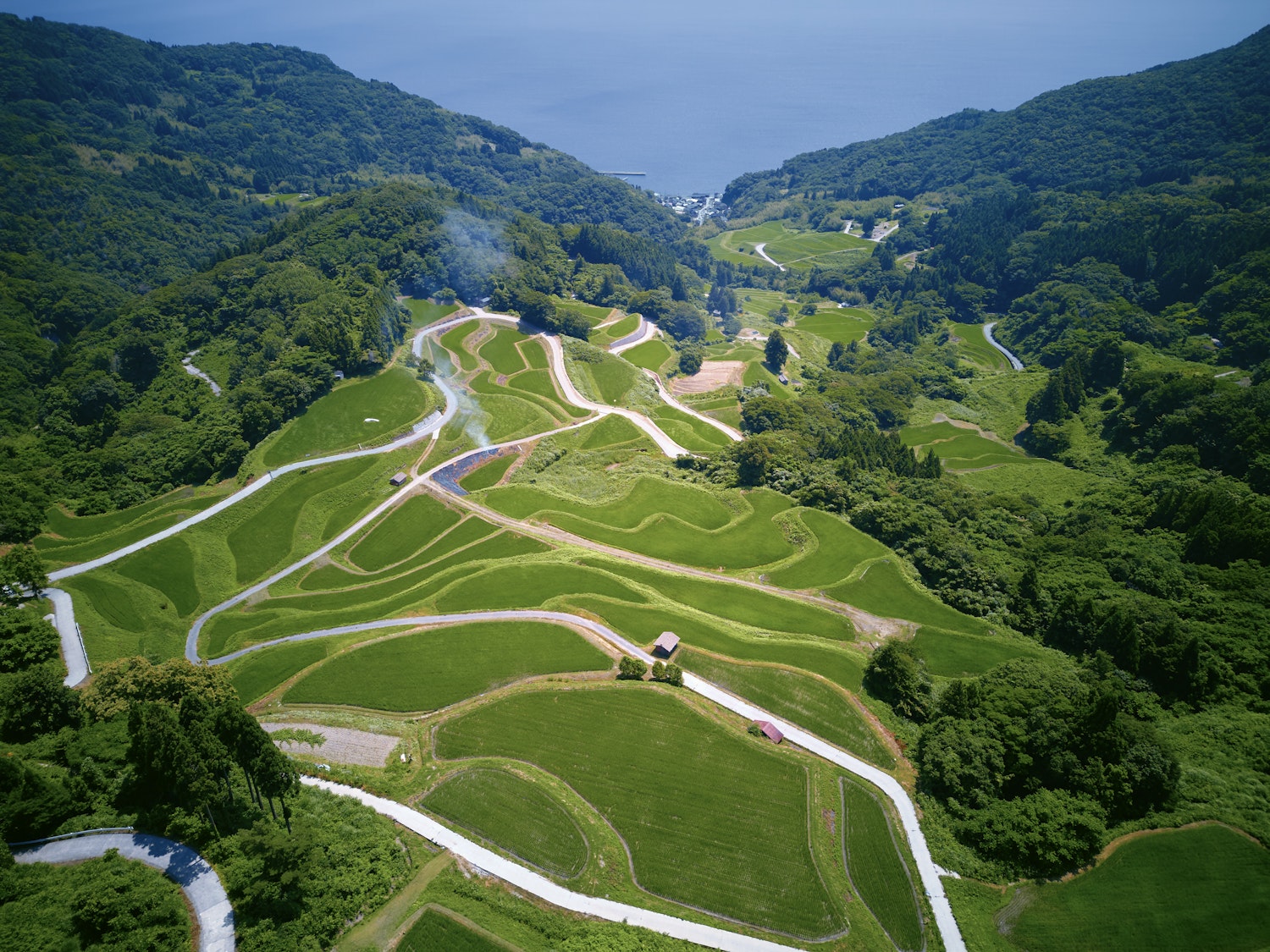 Beyond the Metropolis: Discovering Japan’s Hidden Cultural Renaissance
