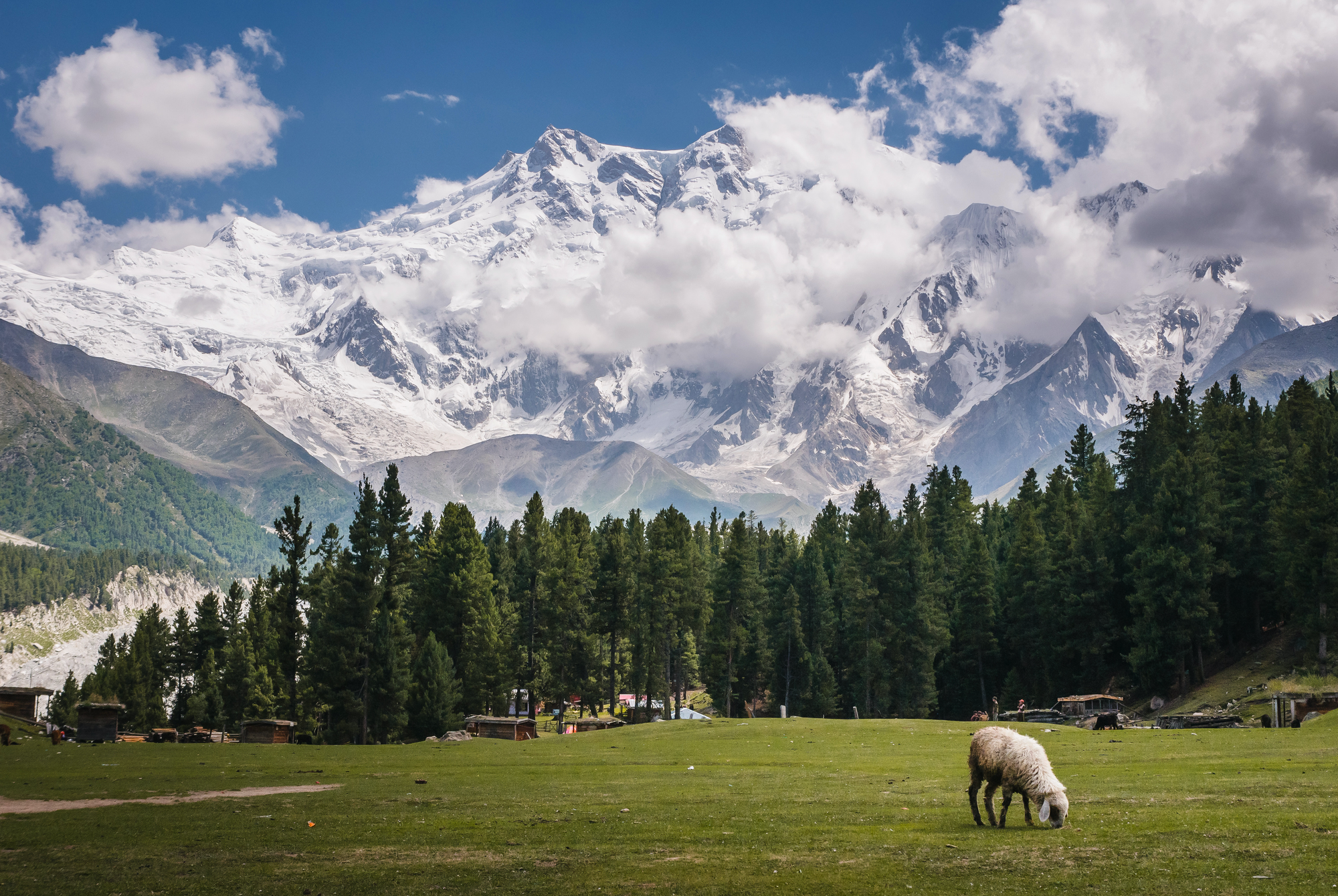 Cam Honan's Guide To The Himalaya