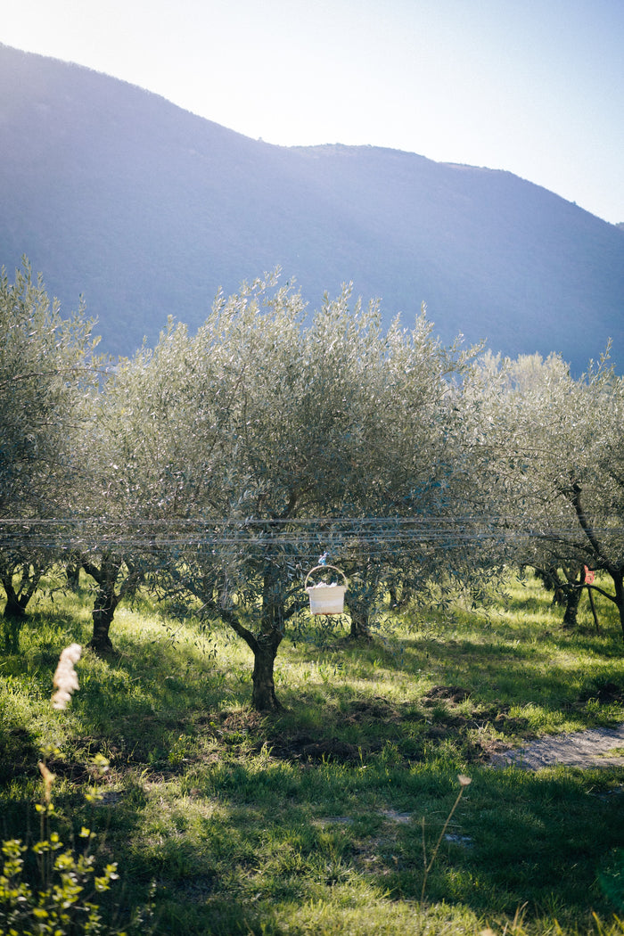 Books to Read This Green Friday