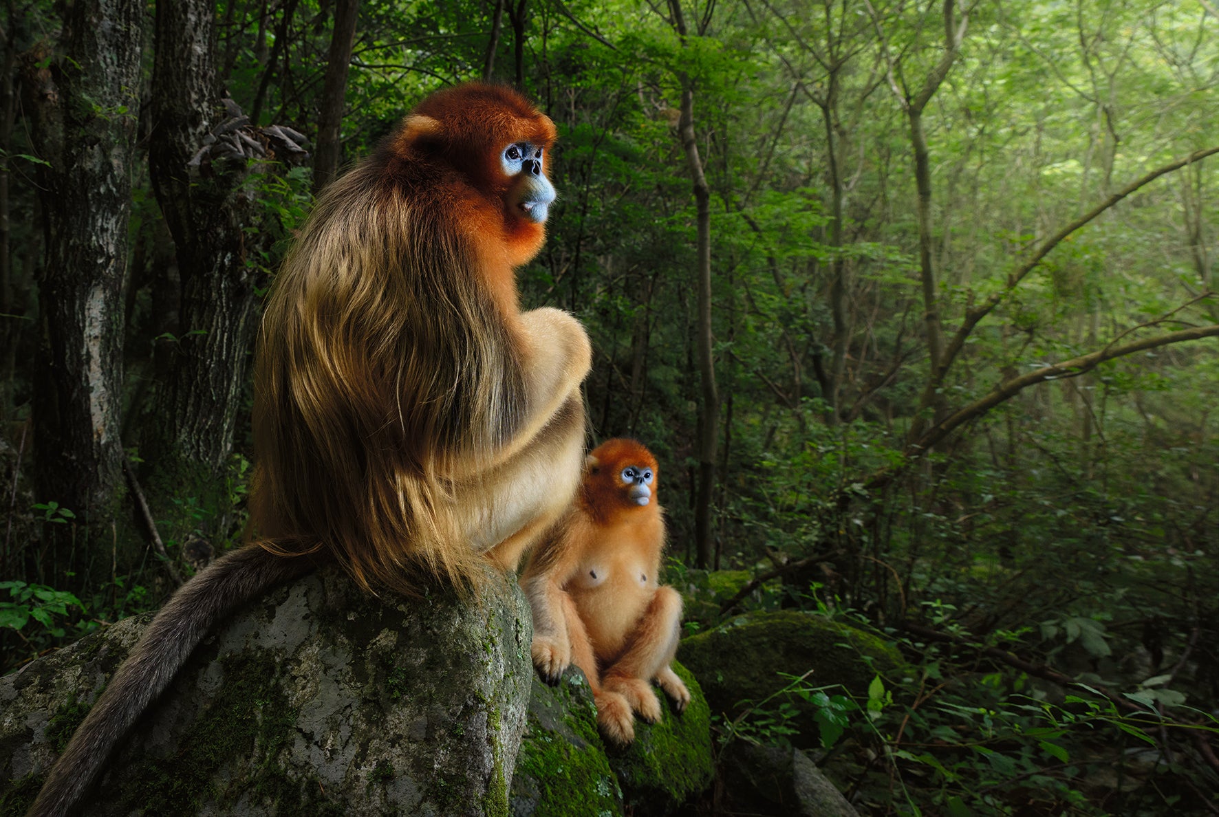 MOTHER: A Tribute to Mother Earth