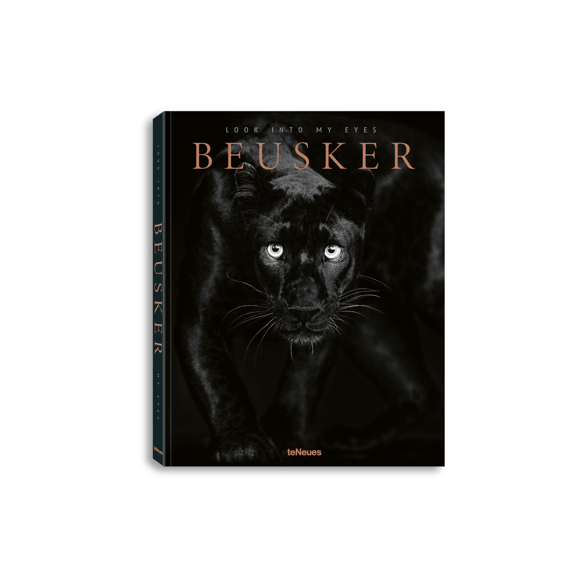 Beusker: Look into My Eyes