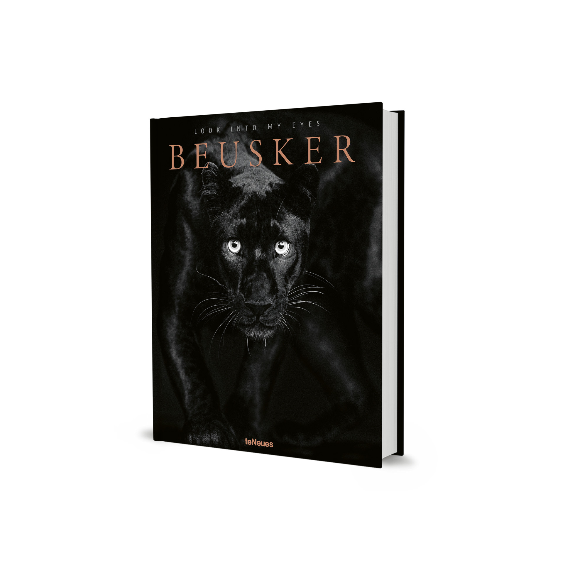 Beusker: Look into My Eyes