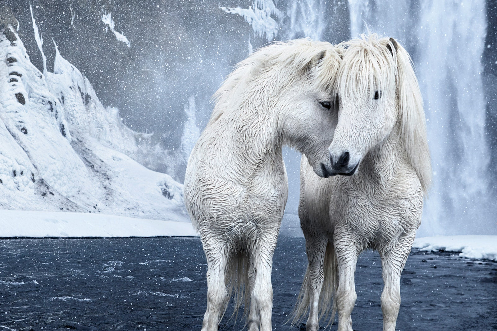 Untamed Spirits