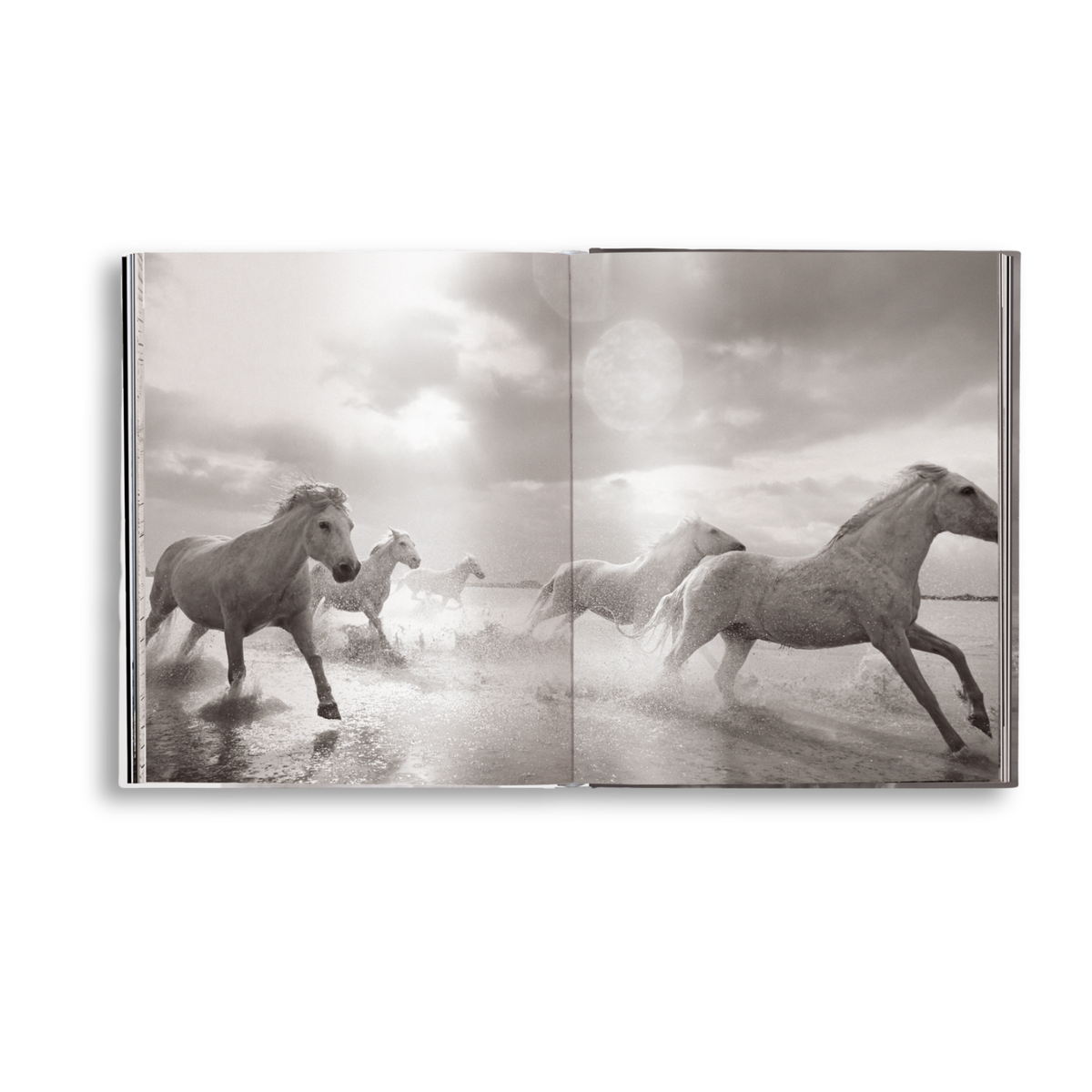 Open book showing black and white photograph of horses running in water.
