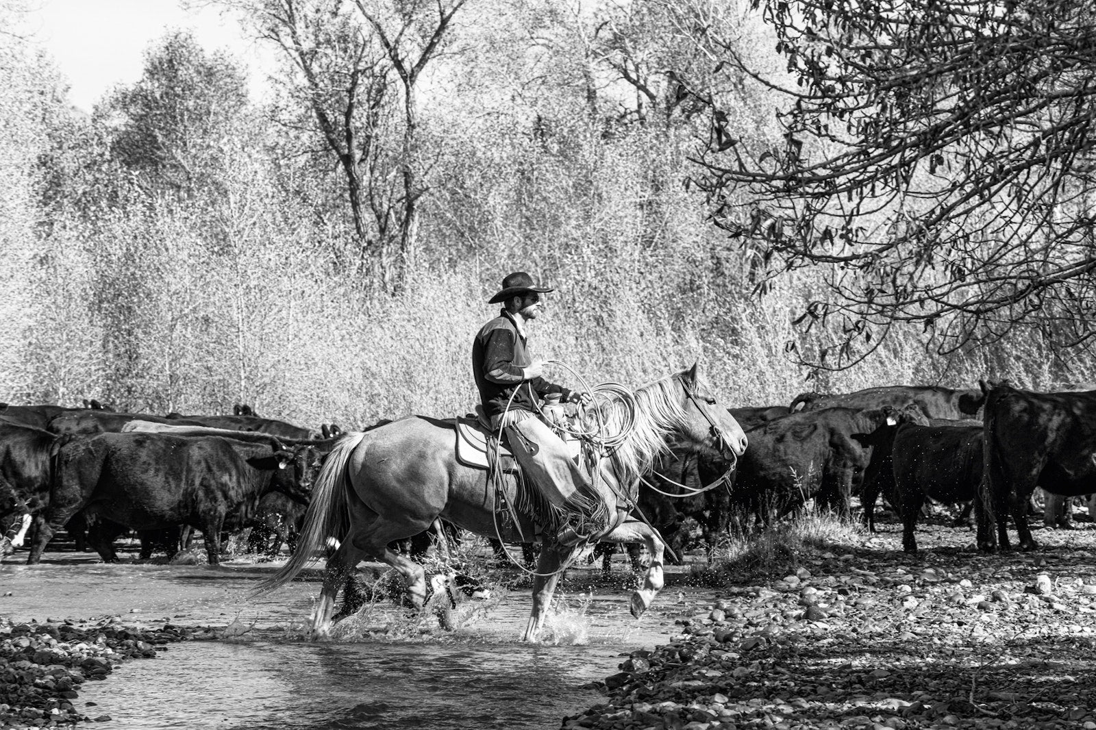 A Ranch Year