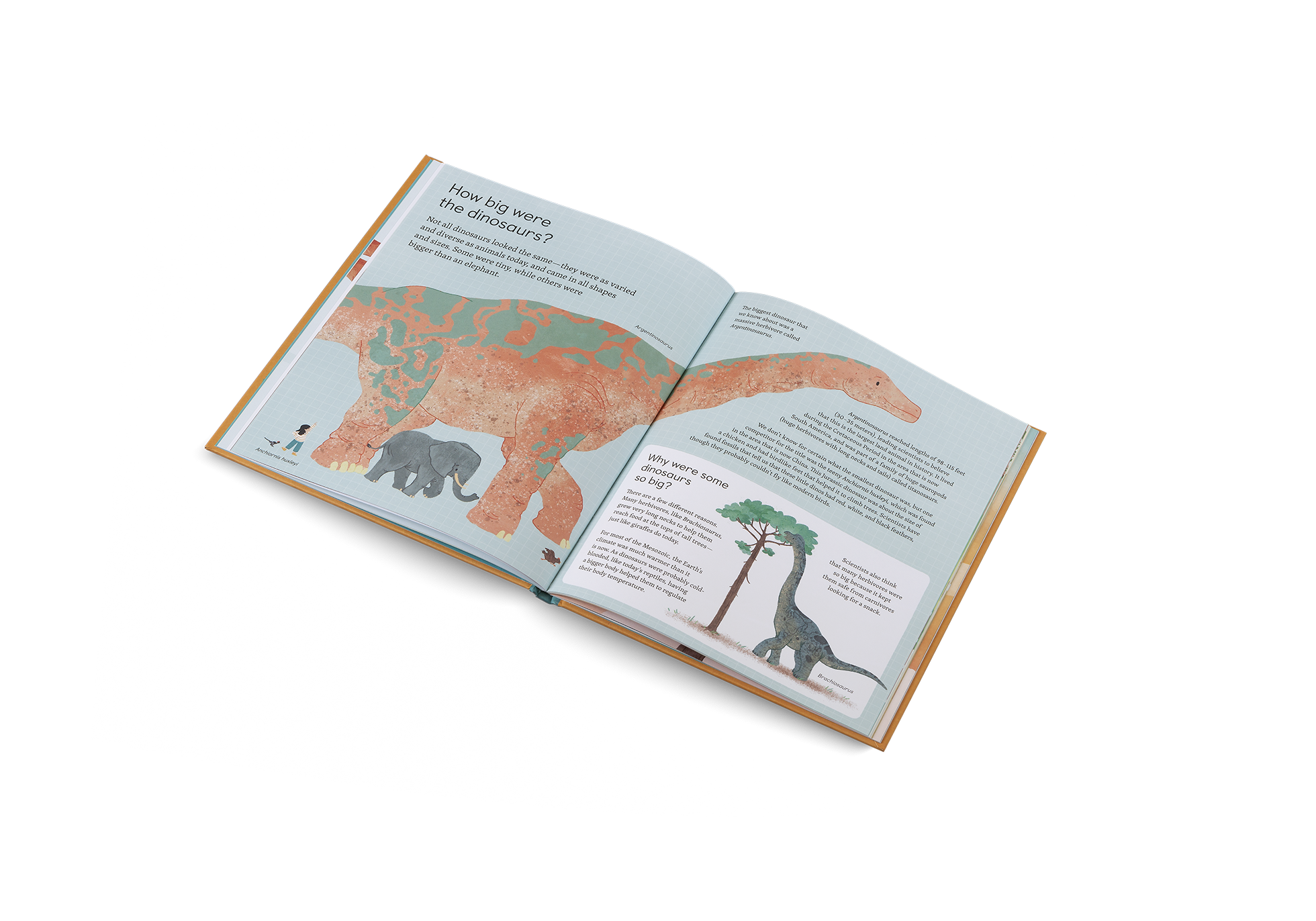 Ask Me About… Dinosaurs