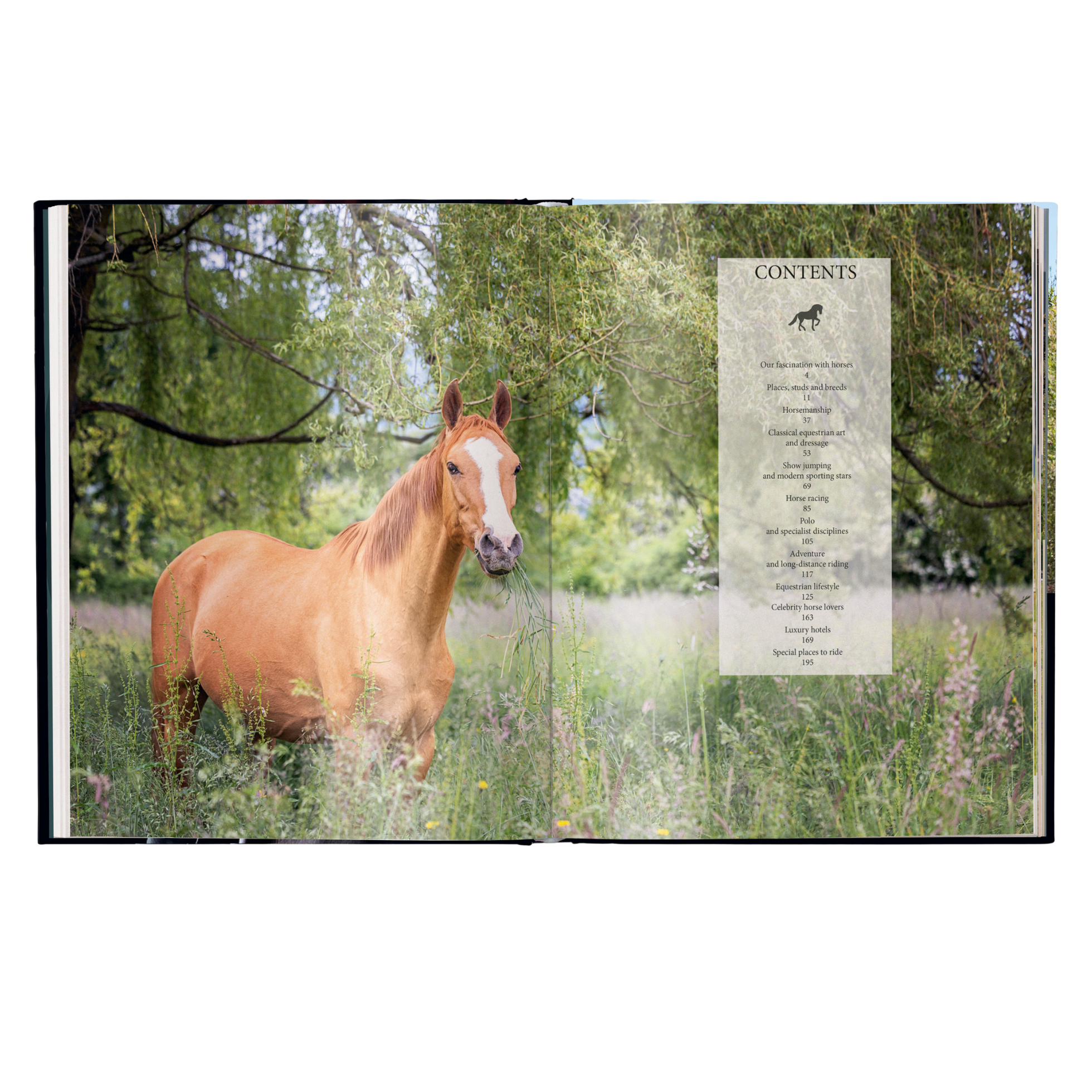 Equestrian - The Ultimate Book