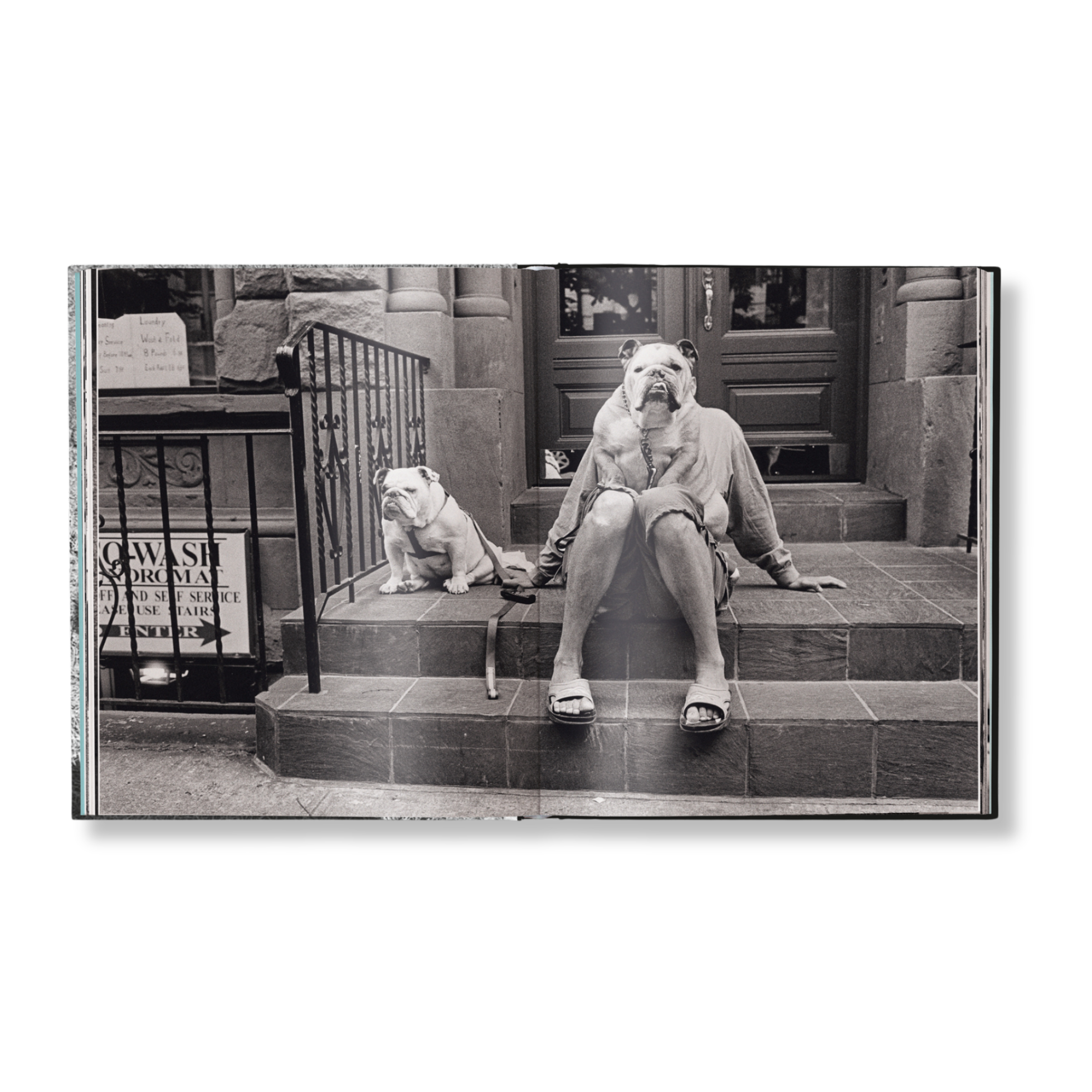 Elliott Erwitt's Last Laughs