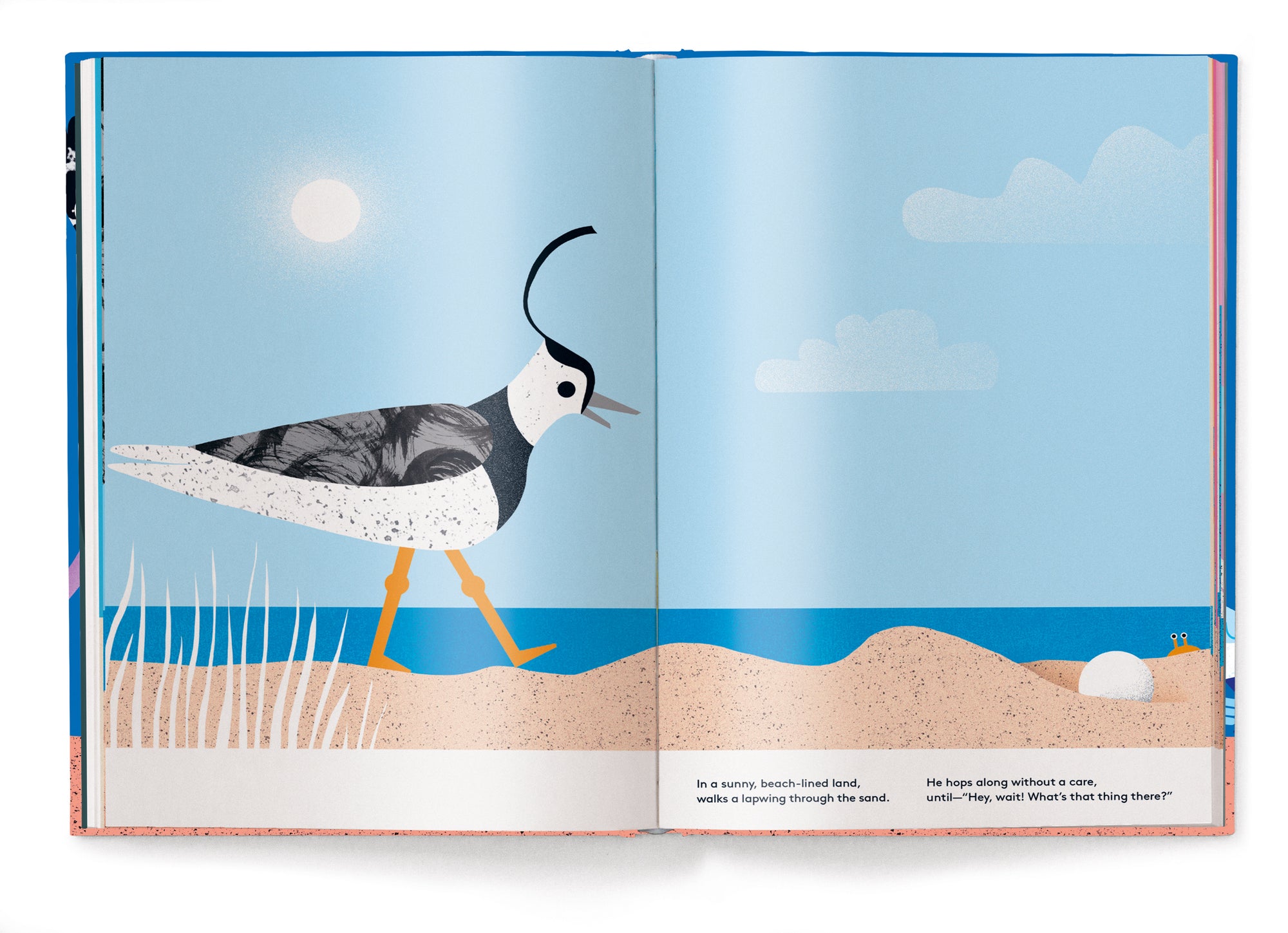 A Little Egg, a Tiny Crack