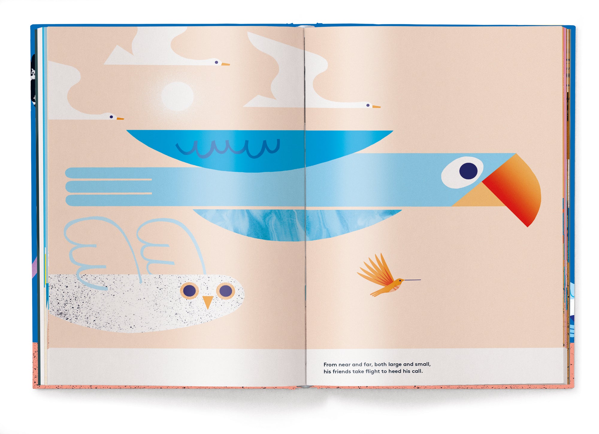 A Little Egg, a Tiny Crack