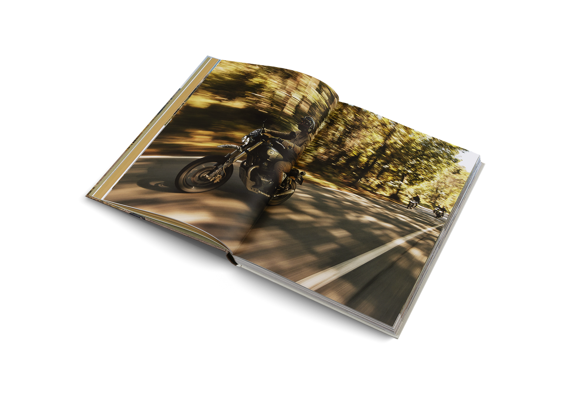 Riding in the Wild - Motorcycle Adventures off and on the Roads