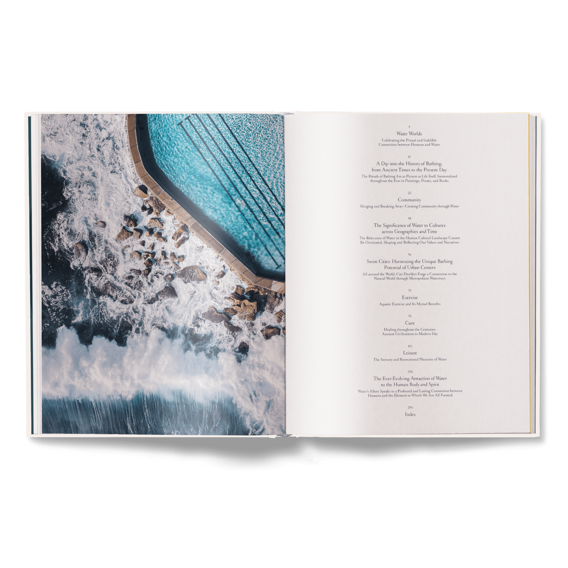 The Nature of Swimming (Updated Edition)