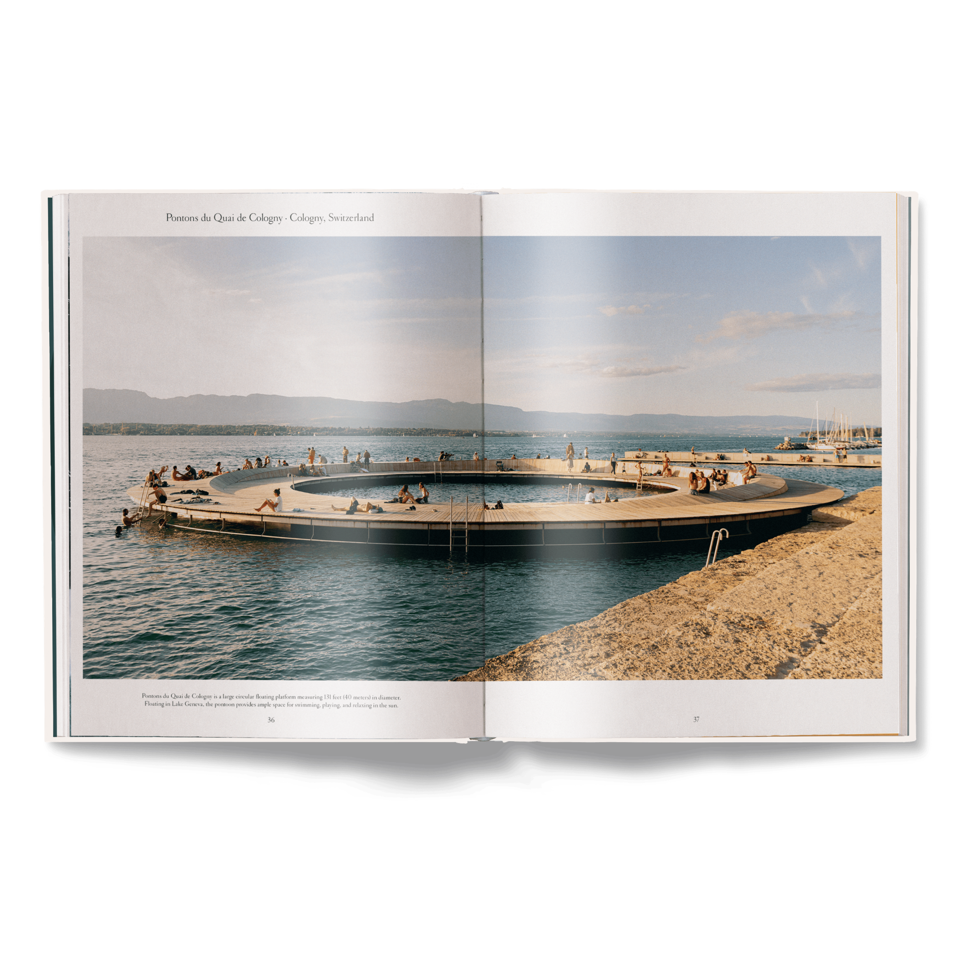 The Nature of Swimming (Updated Edition)