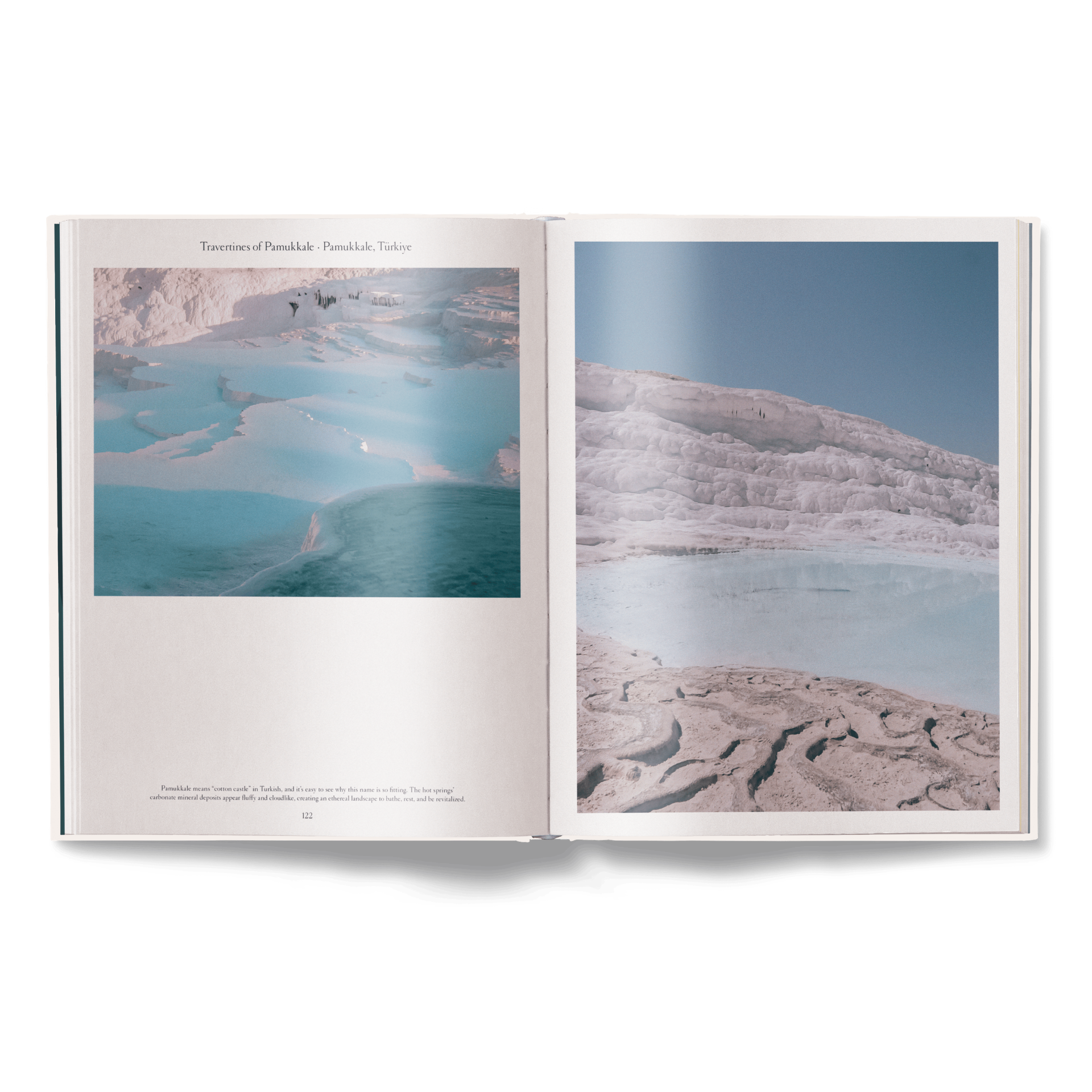 The Nature of Swimming (Updated Edition)