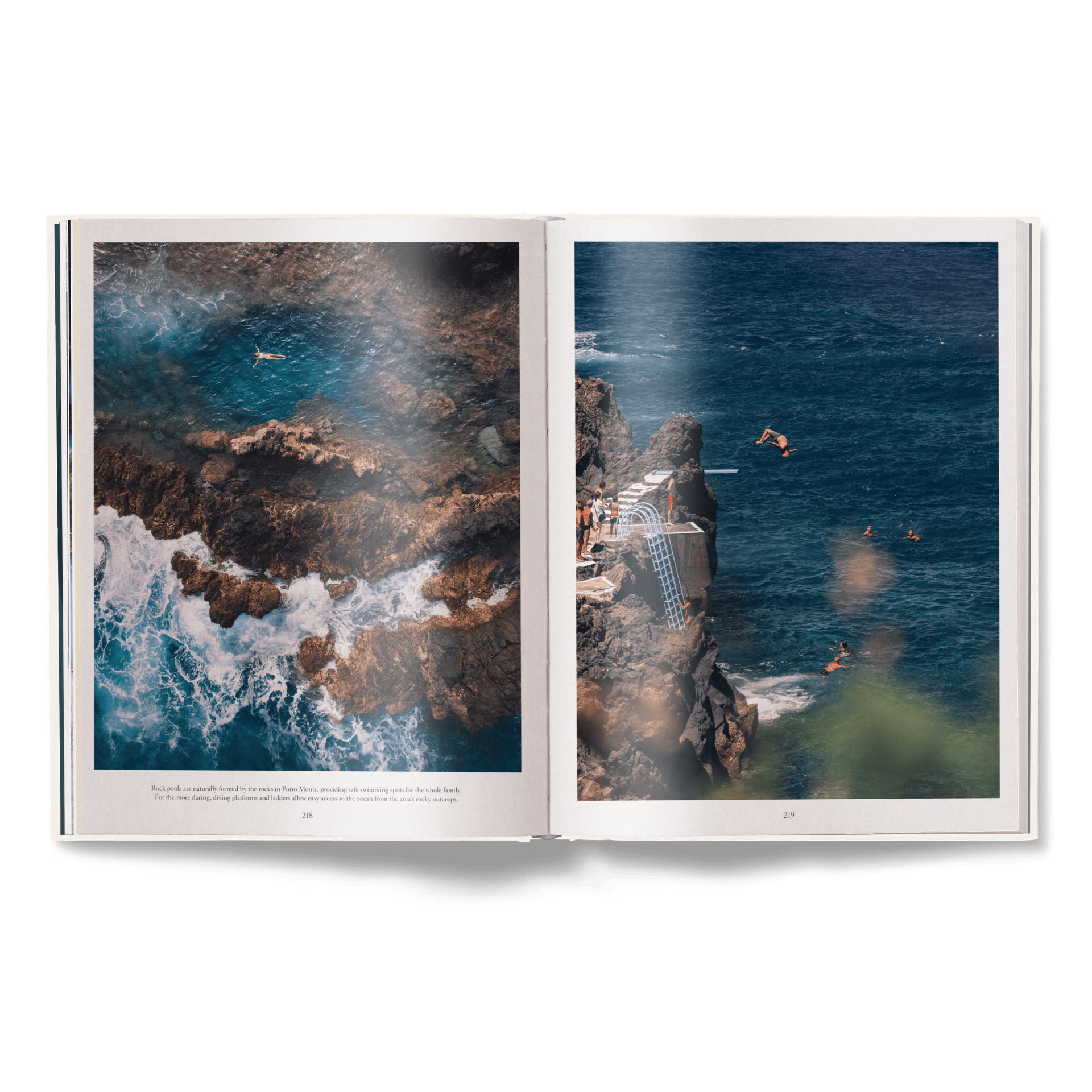 The Nature of Swimming (Updated Edition)