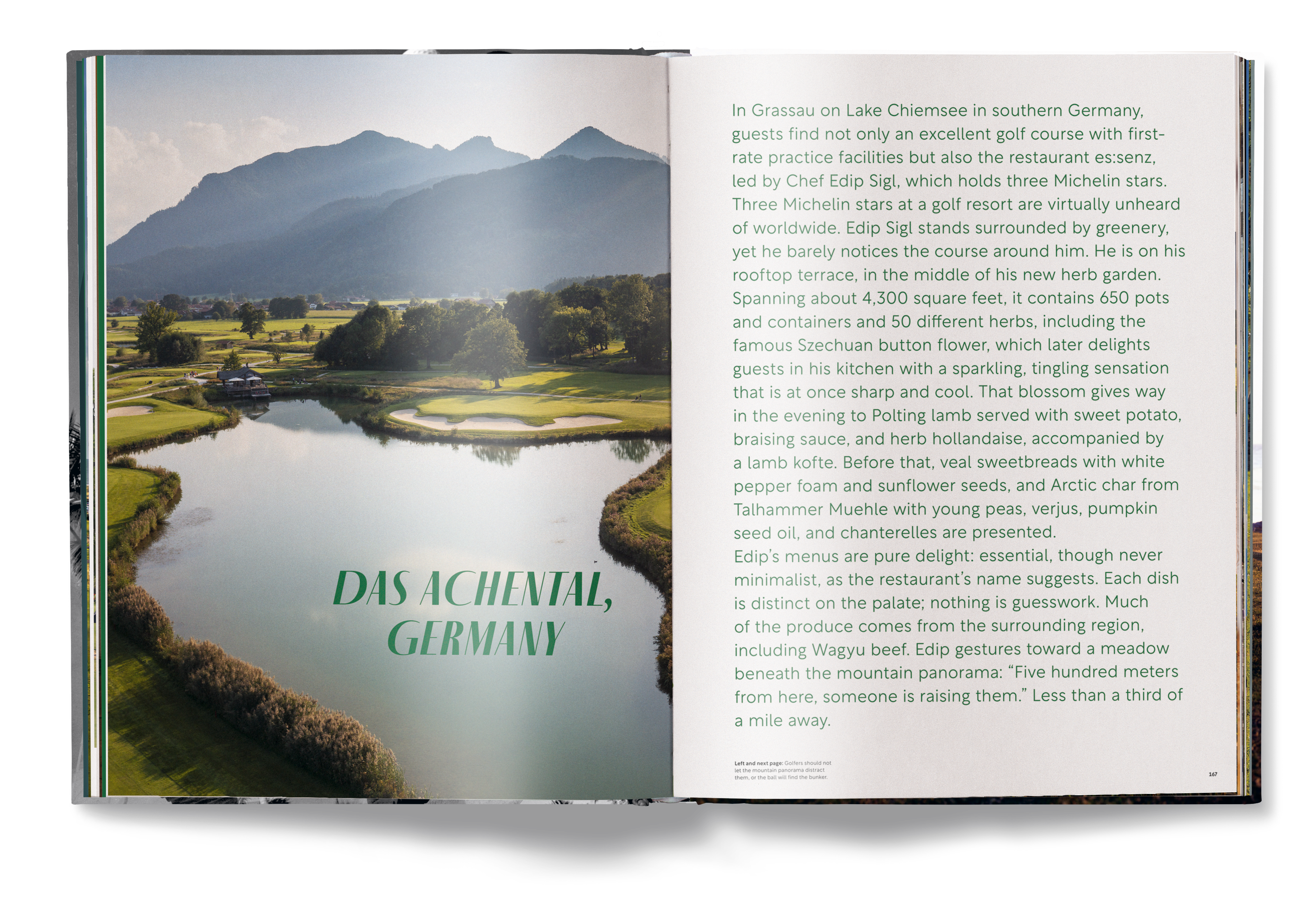 Open book showing a scenic landscape with mountains and a lake, with text on the right side.