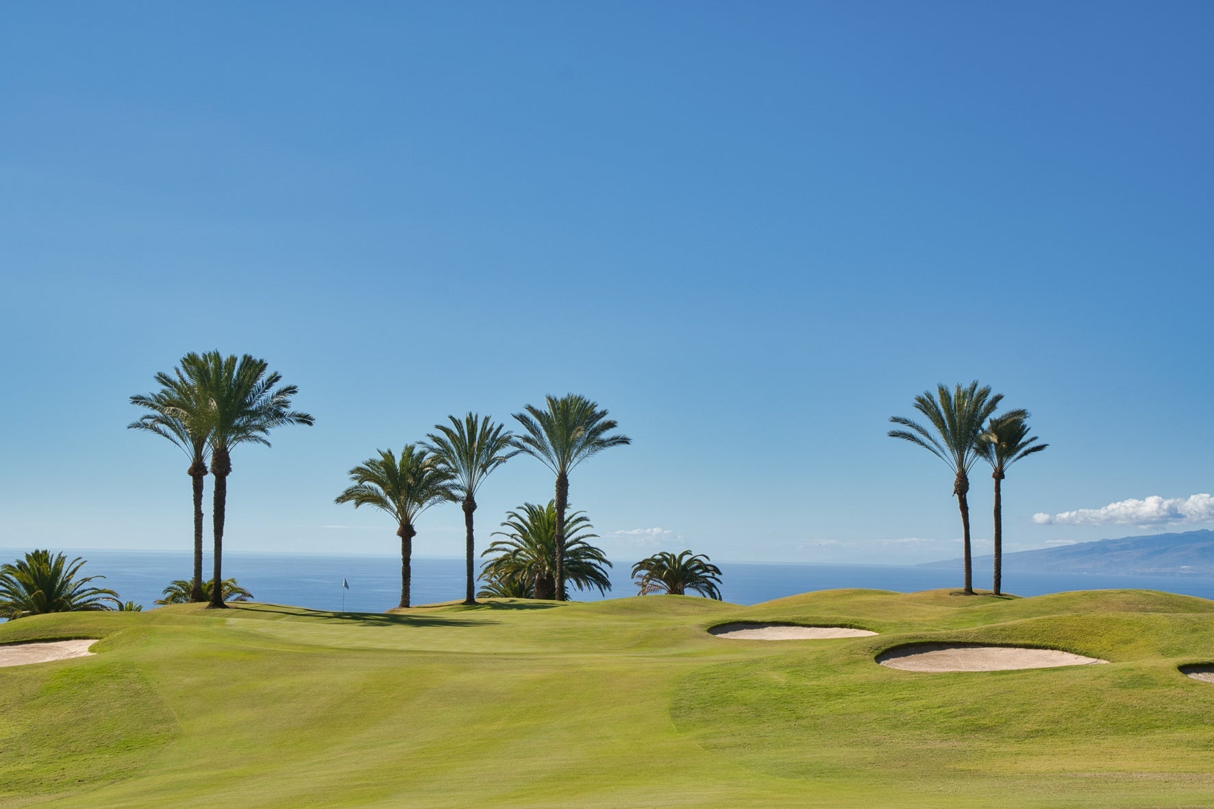 Golf course with palm trees and a clear blue sky